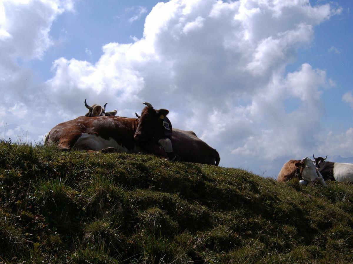 Allgaeu Haus Isny im Allgäu Exteriör bild